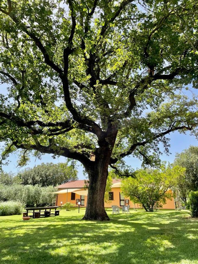 Agriturismo I Tre Fossi Magliano in Toscana Bagian luar foto
