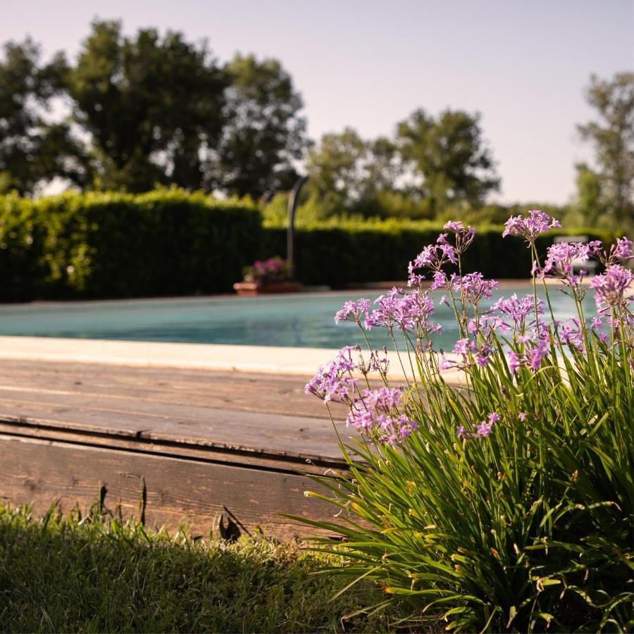 Agriturismo I Tre Fossi Magliano in Toscana Bagian luar foto
