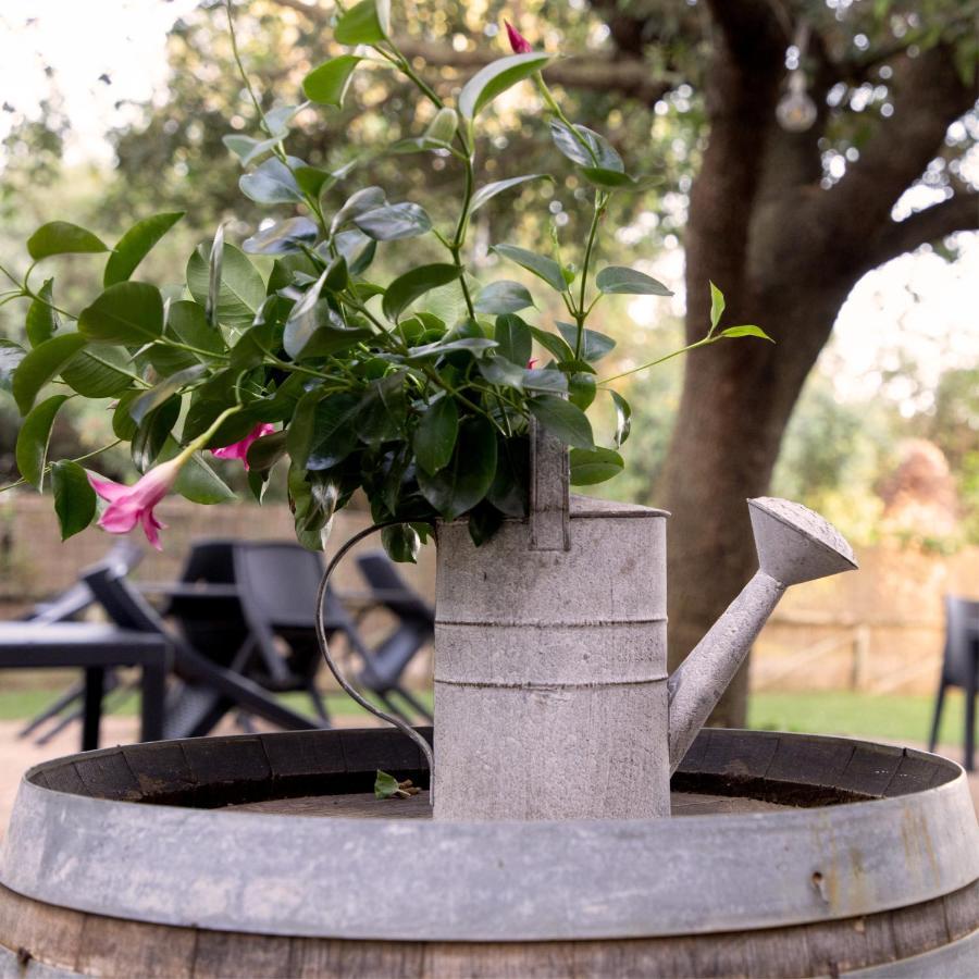 Agriturismo I Tre Fossi Magliano in Toscana Bagian luar foto